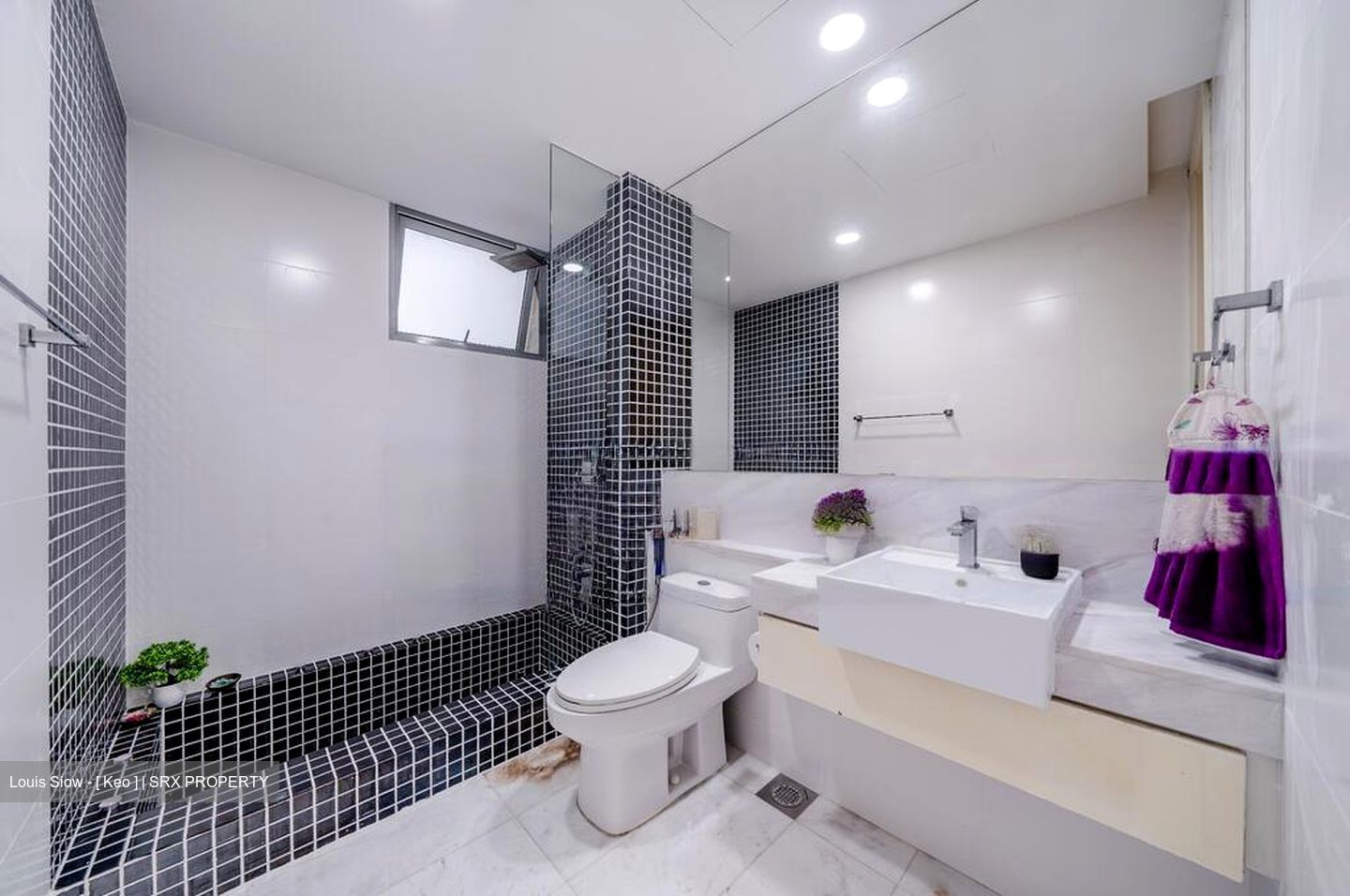 Ferraria Park Condominium (D17), Condominium #458083961